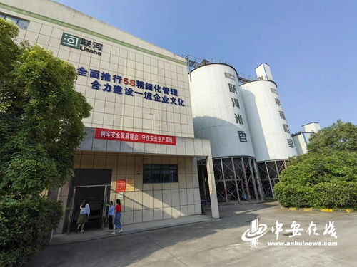 望江县 创建国家现代农业产业园 激活绿色产业链新动能